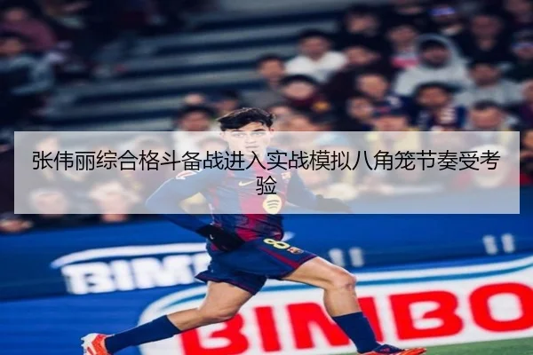 张伟丽综合格斗备战进入实战模拟八角笼节奏受考验