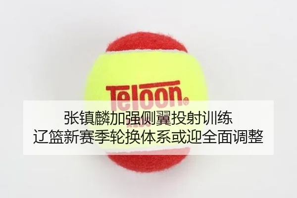 张镇麟加强侧翼投射训练 辽篮新赛季轮换体系或迎全面调整